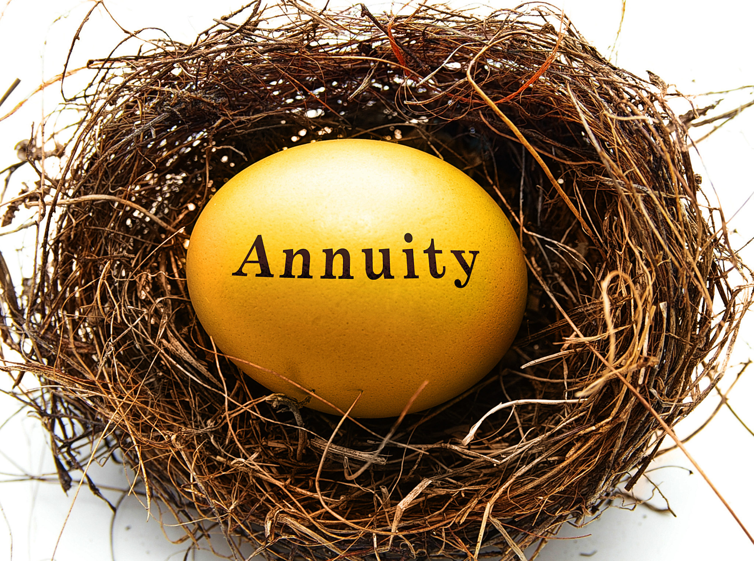 annuity, golden egg