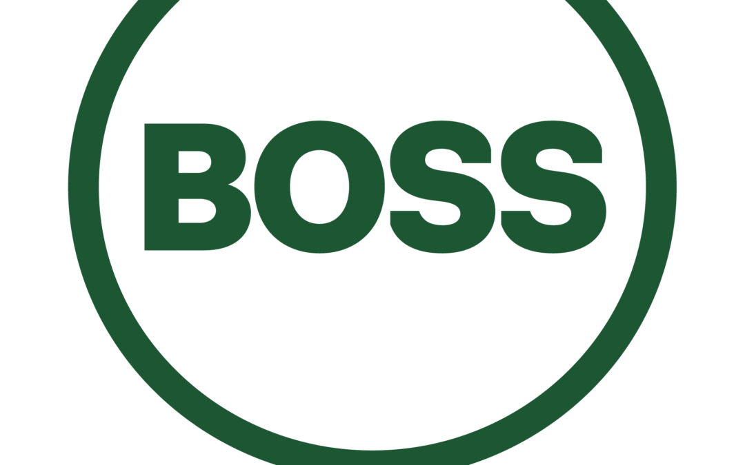 Webinar | BOSS Agent CRM Training