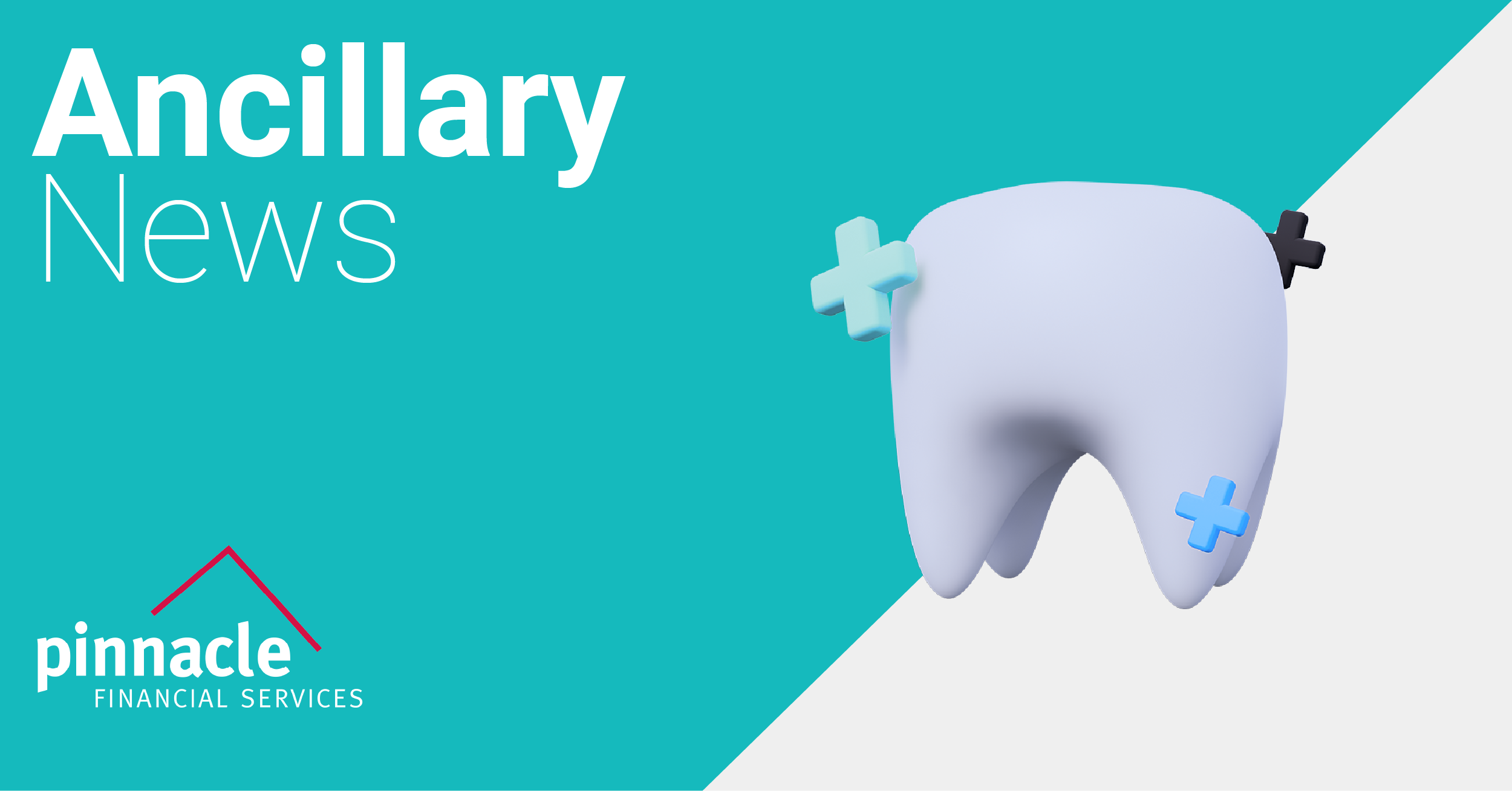 NewsImage_AncillaryTransparent